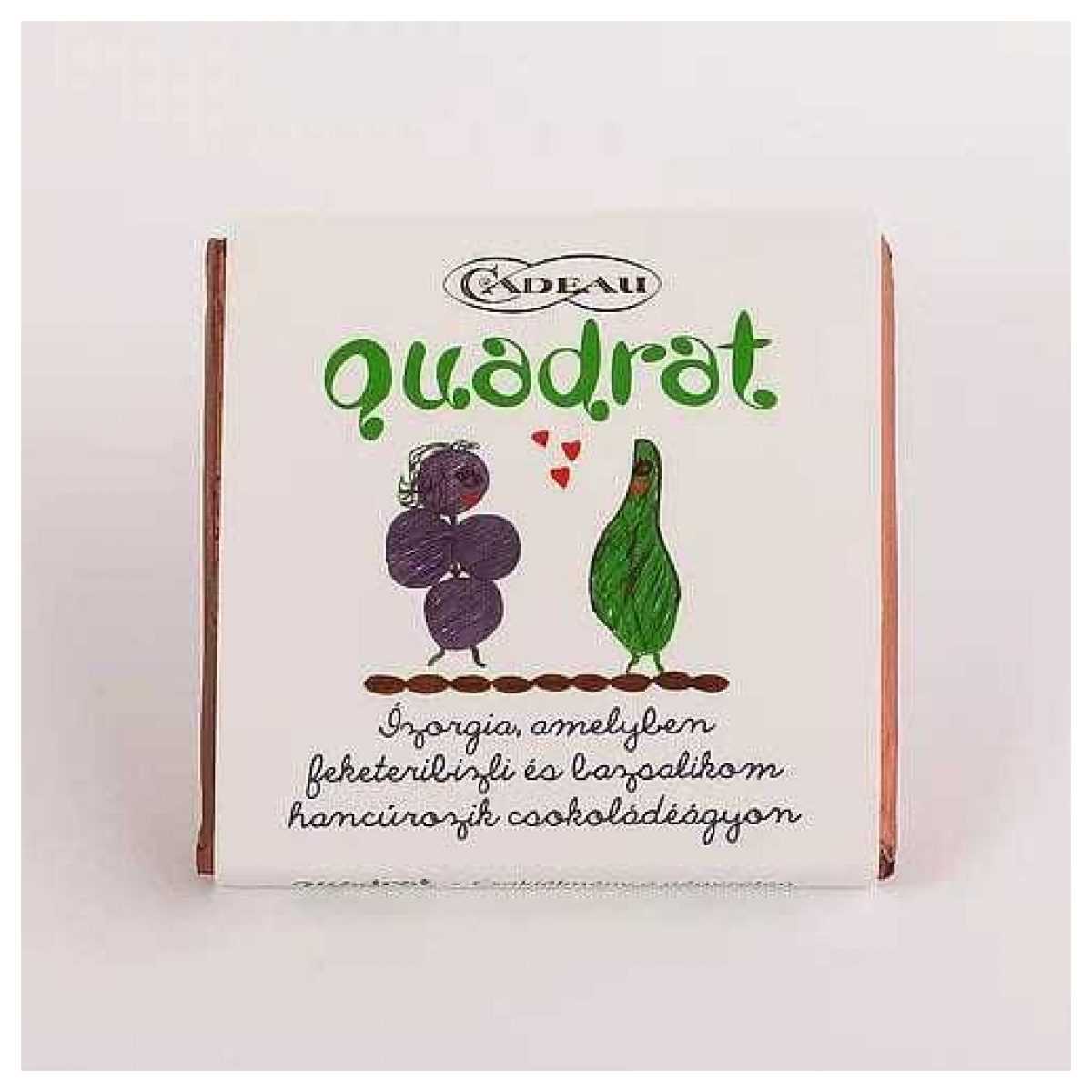 Quadrat bazsalikomos feketeribizlis étcsokoládé